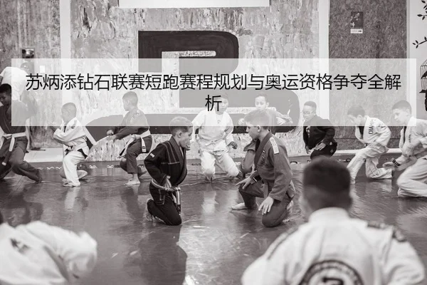 苏炳添钻石联赛短跑赛程规划与奥运资格争夺全解析